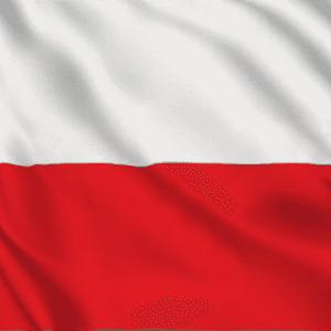 Flagi krajów, do których realizujemy sprzedaż i dostawy