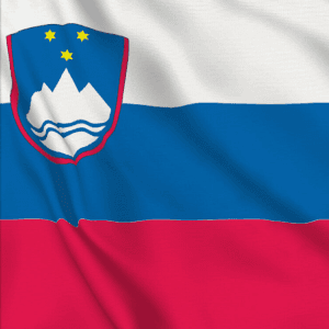 Flagi krajów, do których realizujemy sprzedaż i dostawy